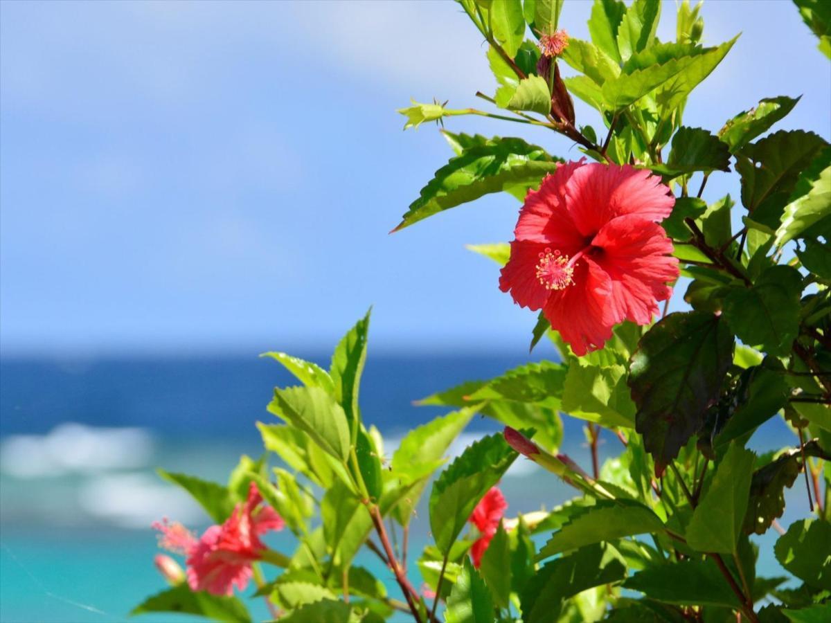 Allamanda Imgya Coral Village Miyakojima  Екстер'єр фото